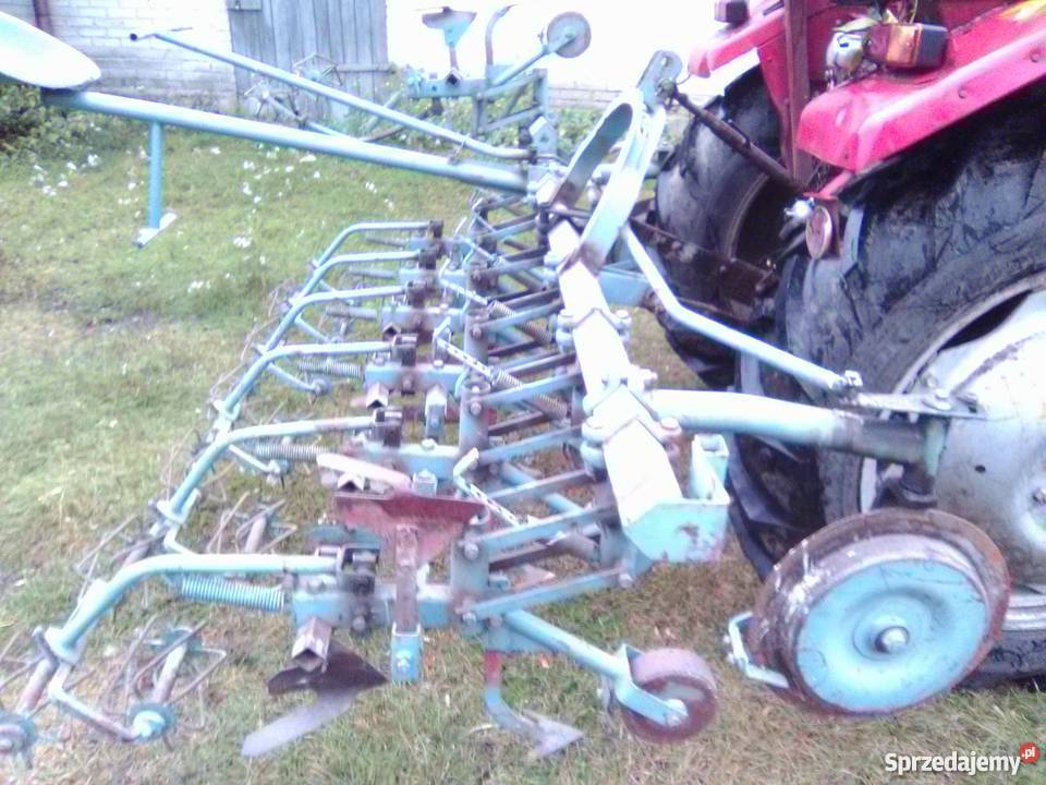 wielorak pielnik do burakówwarzyw