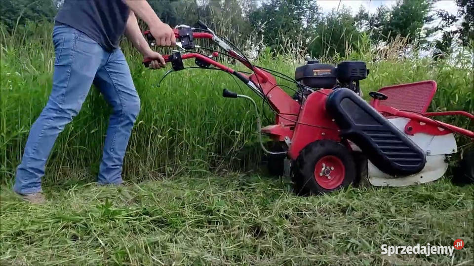 MASTERCUT SG0812A KARCZOWNICA KARCZOWNIK Opalenica