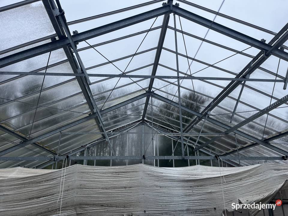Szklarnia przemysłowa do rozbiórki 30m 10m wielkopolskie Turek