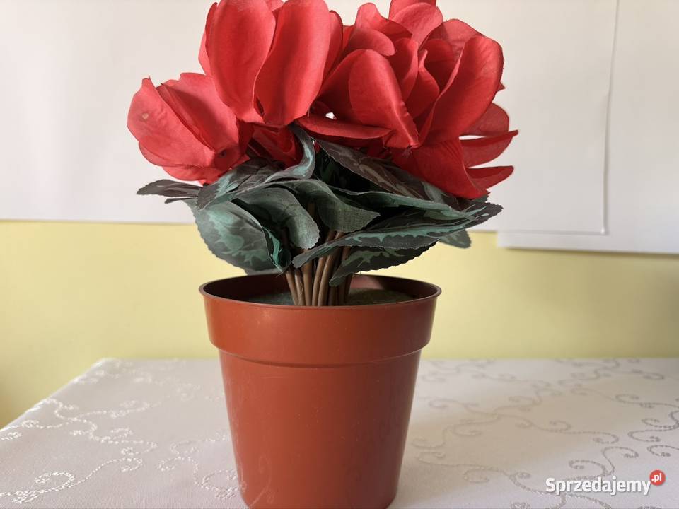 Sztuczny Kwiat Fiołek Alpejski Cyklamen Czerwony czerwony Czerwionka-Leszczyny