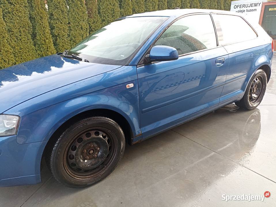 Audi A3 8P 2005 19 TDI BKC nieuszkodzony Starachowice