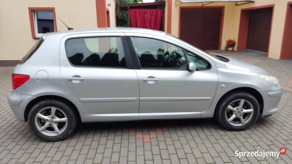 Peugeot 307 1600ccm 109 lpg 7l na 100 srebrny na Orzechowo