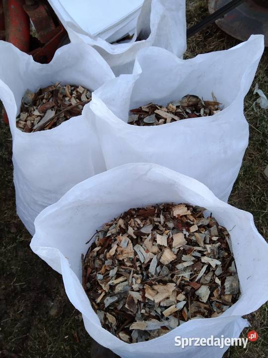 Zrębka ogrodowa Romanowce