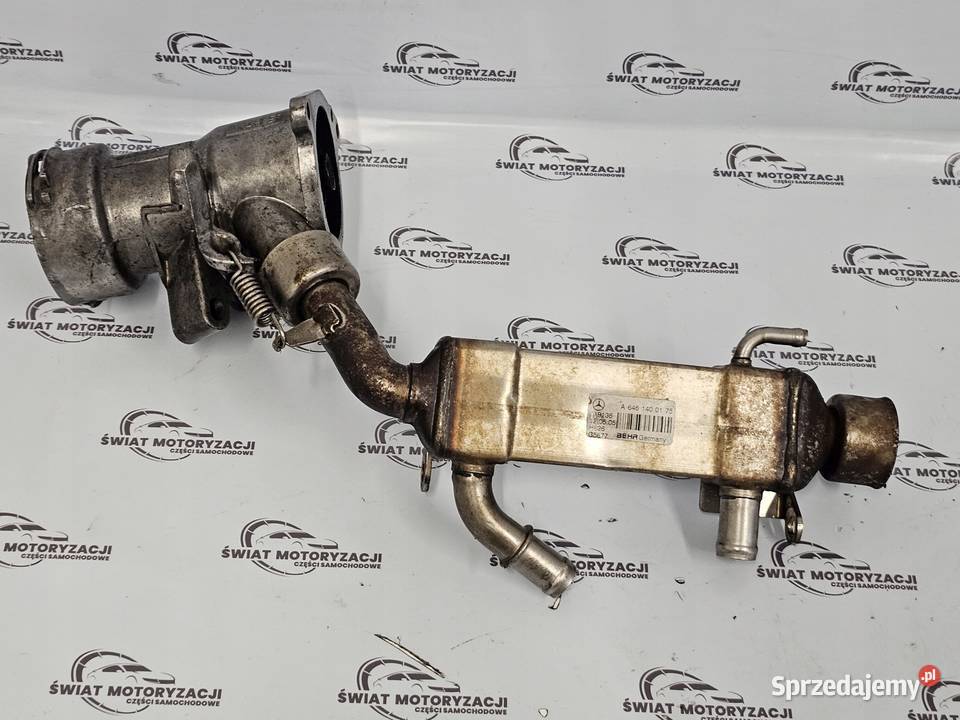 Mercedes E 22 CDI 646961 646961 150 chłodniczka Kielce