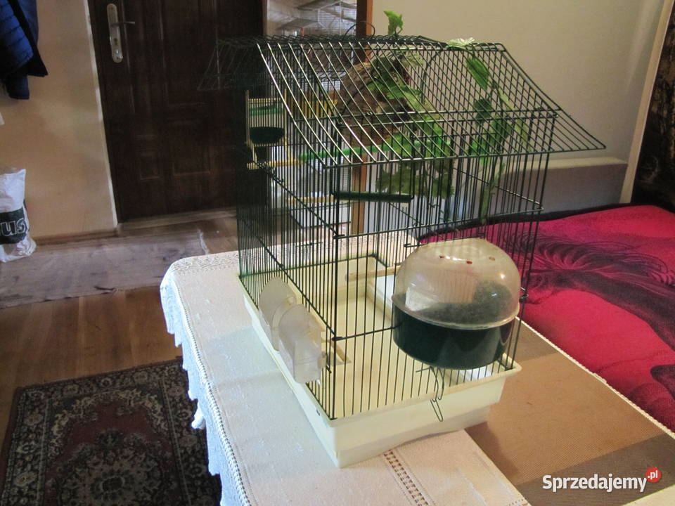 Klatka ptaków kujawsko-pomorskie Toruń sprzedam