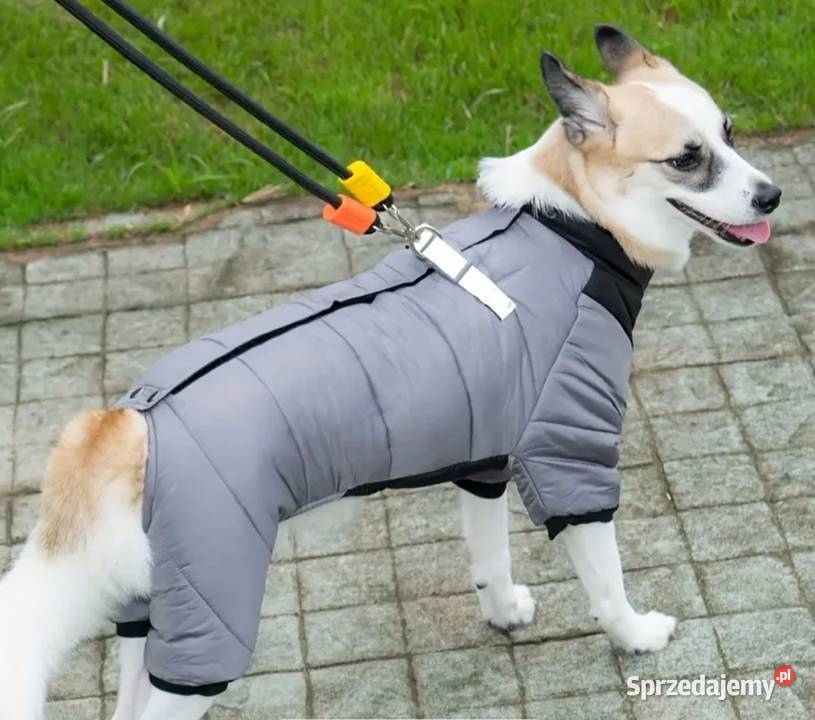 Ciepła wiatroszczelna zimowa kurtka małego Bełchatów