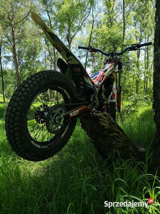 beta evo trial 125250300 evo trial factory Silniki i osprzęt