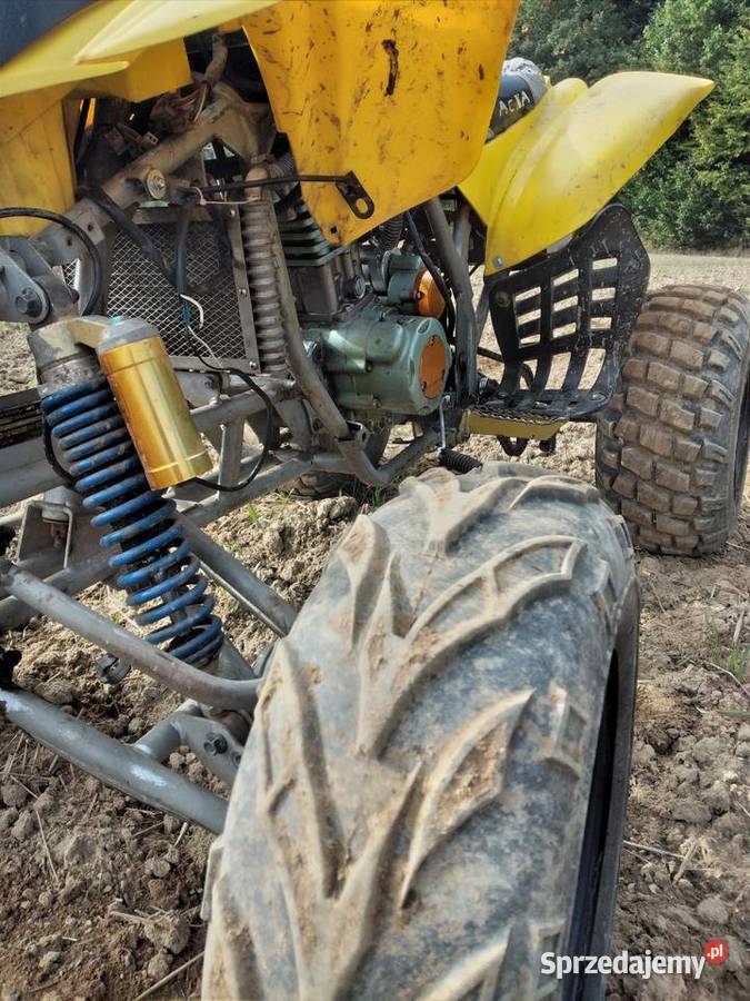 Quad Bashan 250 zarejestrowany na katB Sierakowice