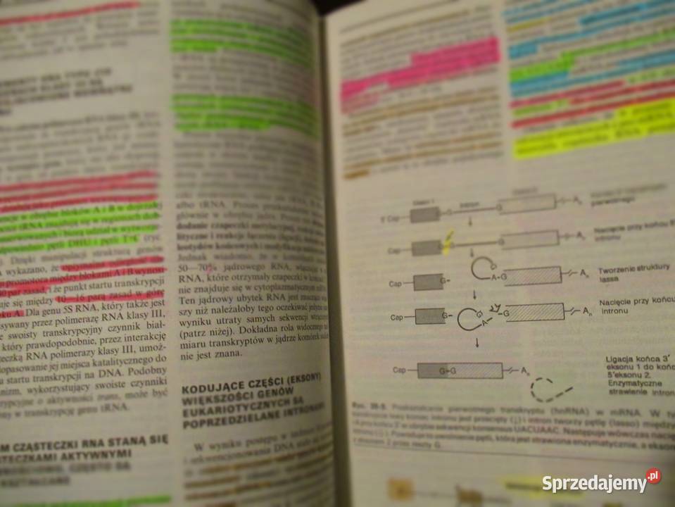 Kompendium farmakologii i farmakoterapii ADanysz łódzkie Łódź