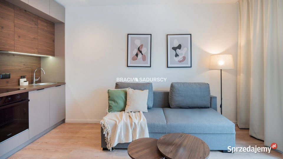 Mieszkanie 246m2 Kraków Romanowicza