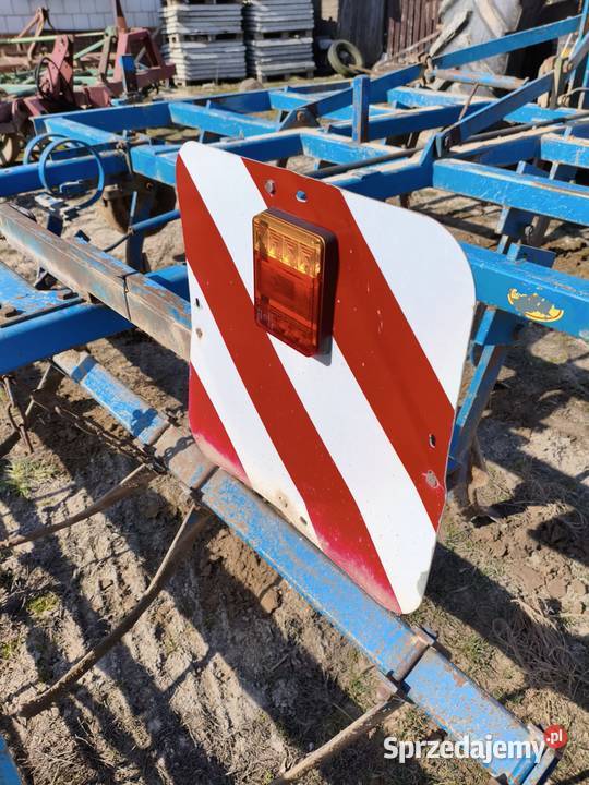 Bezorkowiec czterobelkowiec rabe Motycz