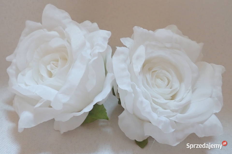 Róże rozwinięte różne kolory 1 śr 115 LA623 Pozostałe Siewierz