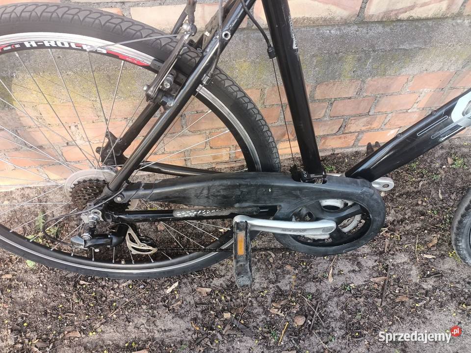 Rower Caledonia koła 28 Toruń