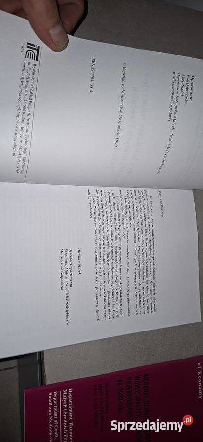Unikat Raport Gospodarczy 1999 Transformacja MŚP Poznań sprzedam