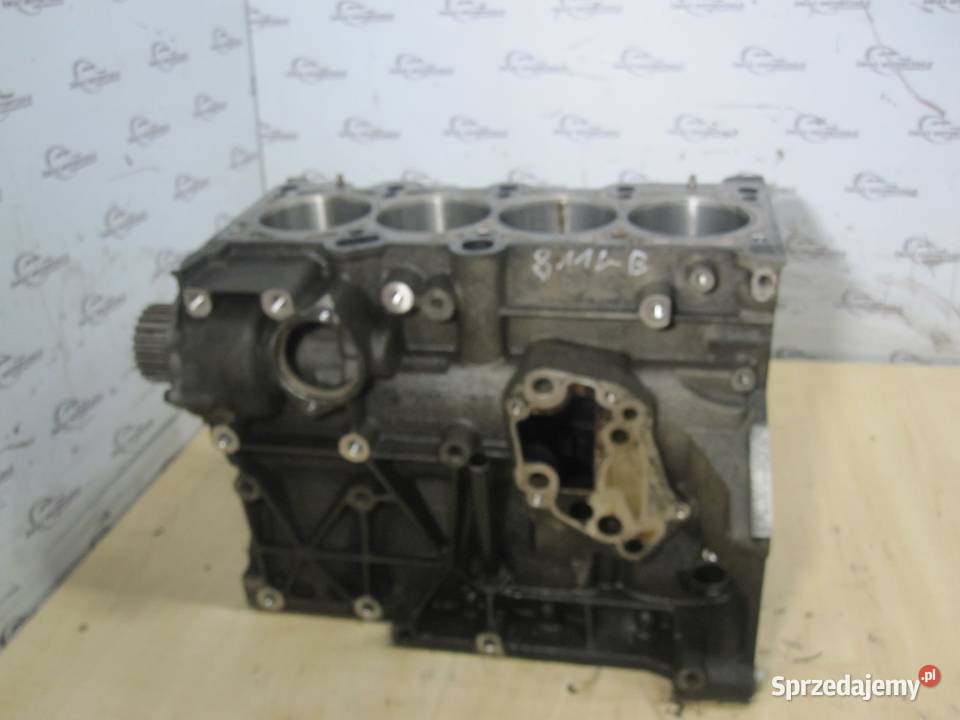 PASSAT B6 OCTAVIA 08r 20 FSI BVY 150 171 blok świętokrzyskie