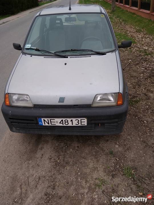 Cienias drobne Wilczęta