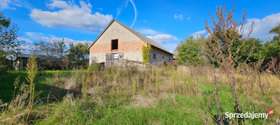 Siedlisko w sercu pojezierza na sprzedaż asfalt Rudka Starościańska