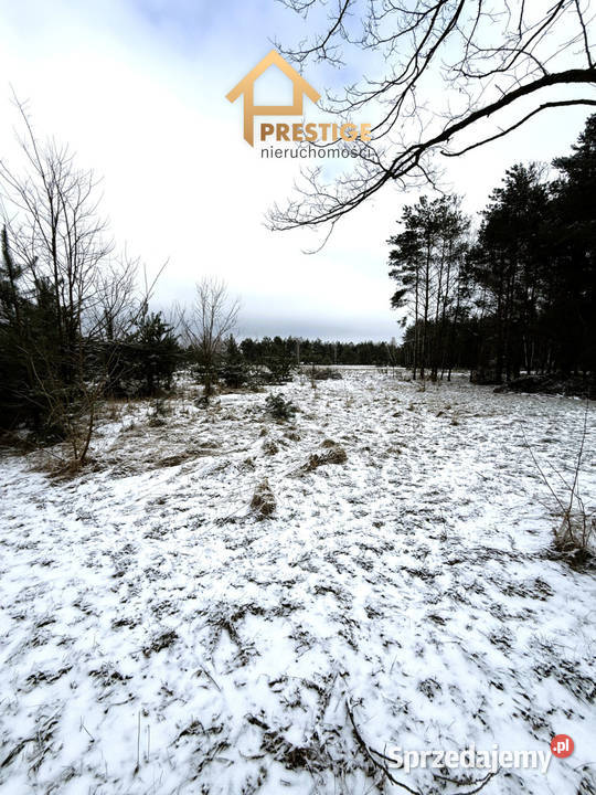 Wyjątkowa enklawa 494ha działka budowlana z wielkopolskie Skarbki