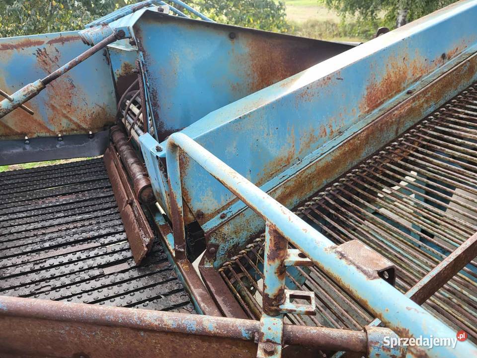 Kombajn ziemniaczany Bolko Z643 nie Anna Bolek Osięciny