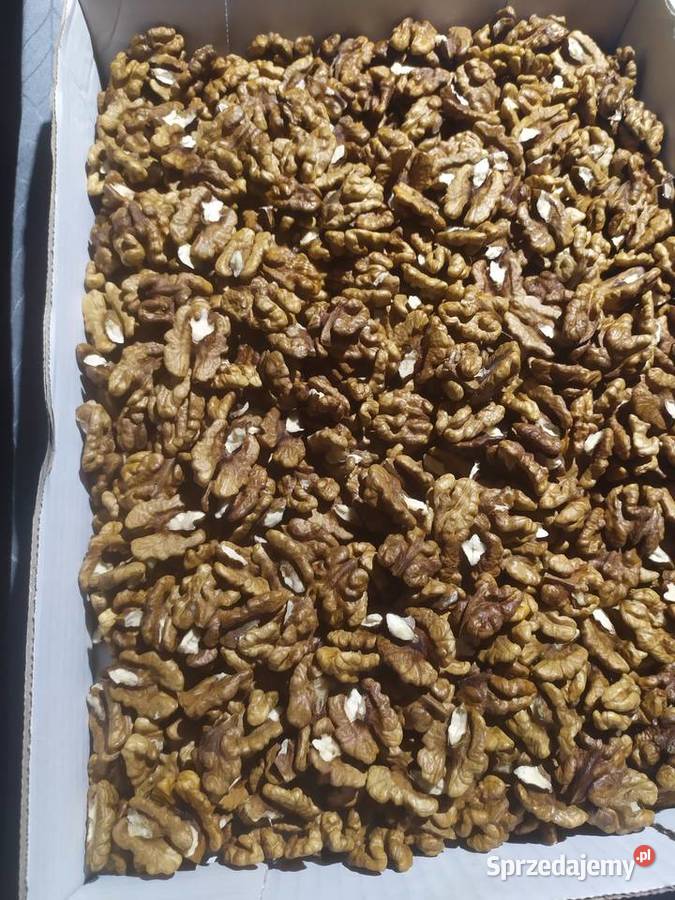 Orzechy włoskie łuskane połówki 1 Pozostałe Dębno