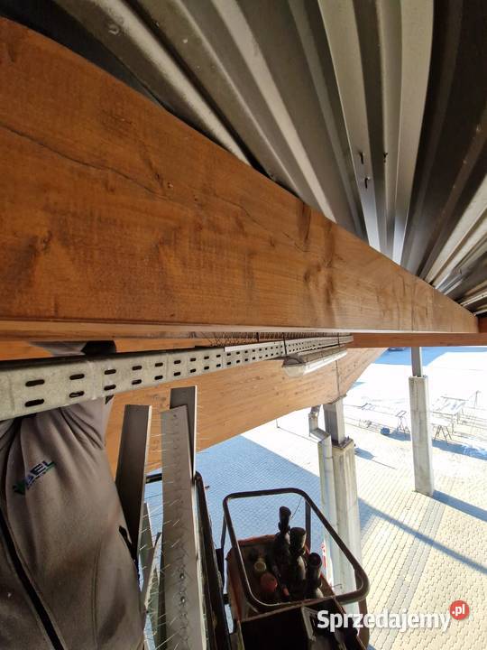 Montaż kolców przeciw gołębiom Ruda Śląska