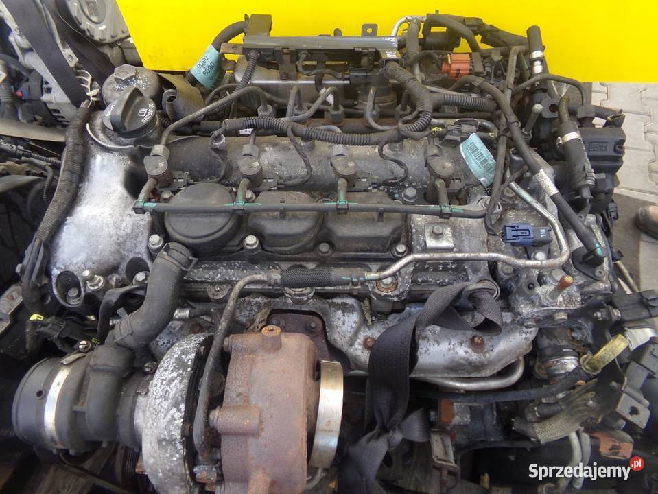 ORLANDO CRUZE 20 VCDI 15r 163 Z20D1 pompa osobowe Suków