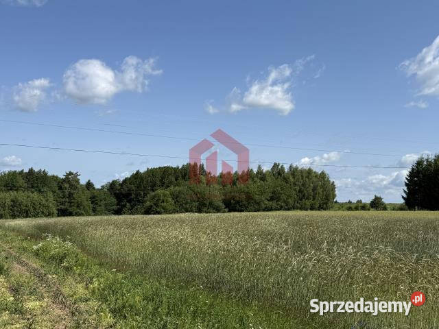Grunt 2600m2 Brzeziny