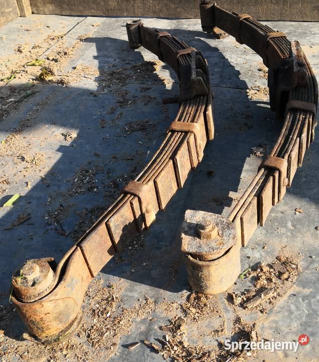 Resory przód aro muscel podkarpackie Domaradz