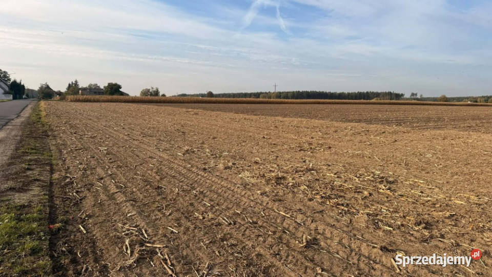 DZIAŁKI BUDOWLANE NA SPRZEDAŻ KOKCZYN I