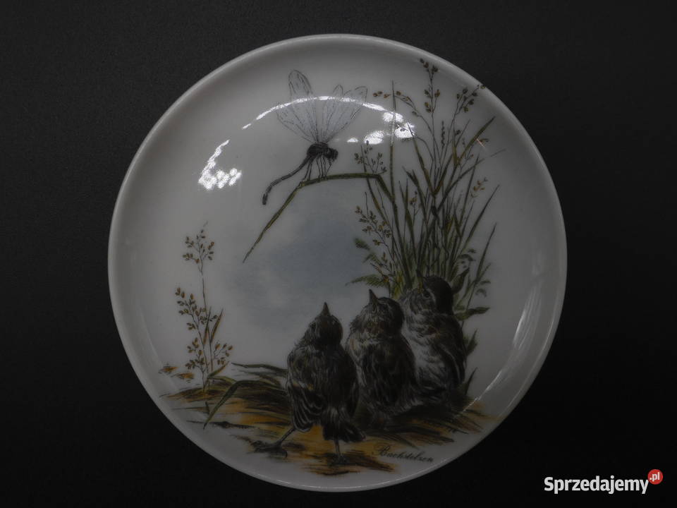 Paterkapodstawek KAISER ptaki pliszki wielkopolskie