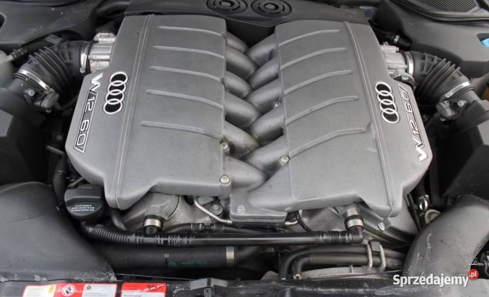 Audi A8 W12 60 głowica kompletna Chełmno