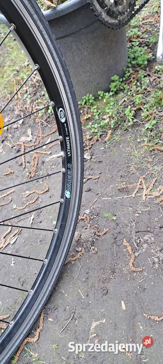 Sprzedam Rower Męski Hercules Street Tradition Sport i Wypoczynek Wrocław