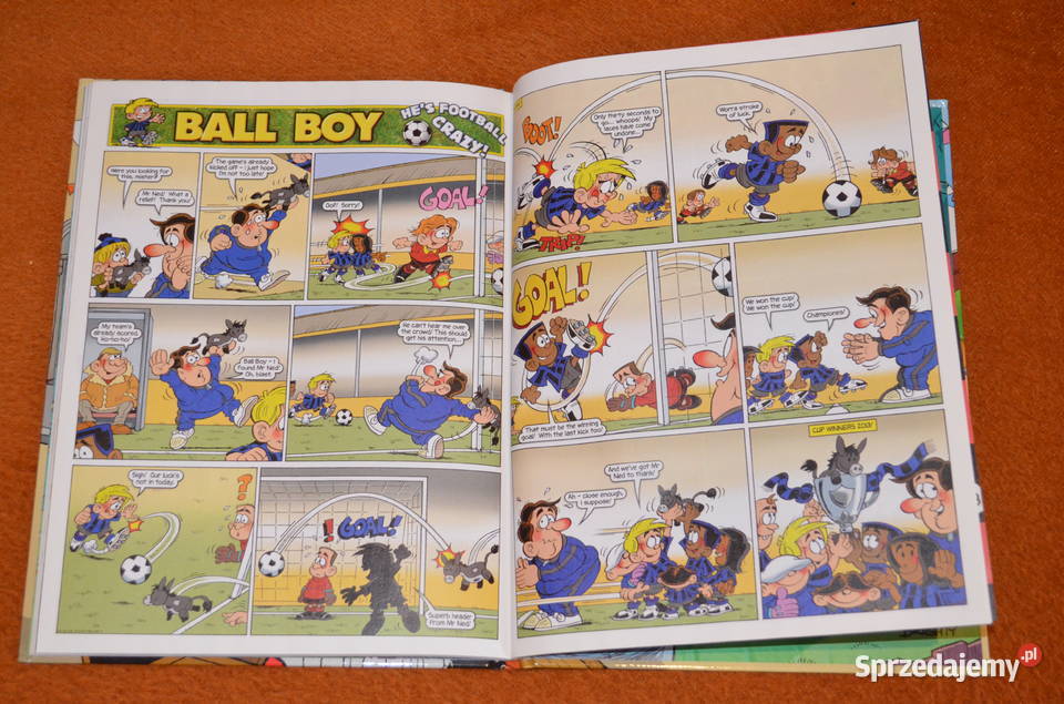 BEANO Annual 2013 mazowieckie Ostrołęka