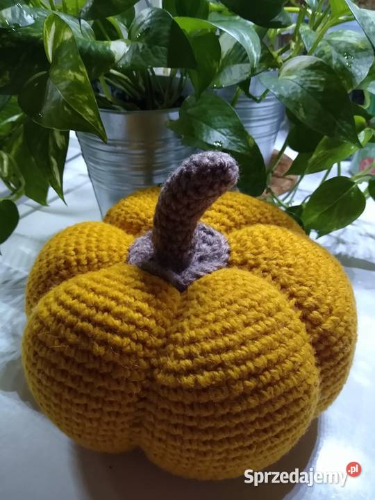 Dynia Pumpkin Rękodzieło Gdańsk