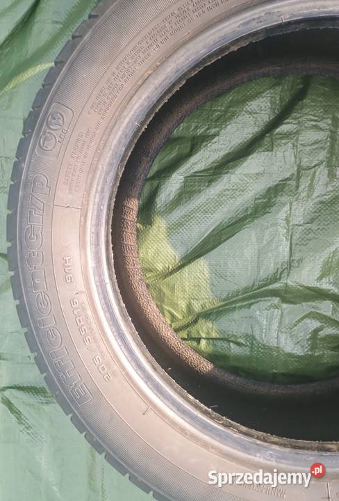 Opony Goodyear EfficientGrip 2055516 Krasnystaw