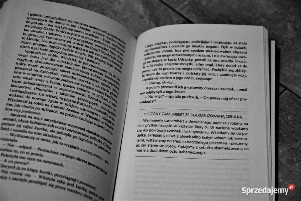 PAŁAC ZDRADY Jason Matthews Chorzów