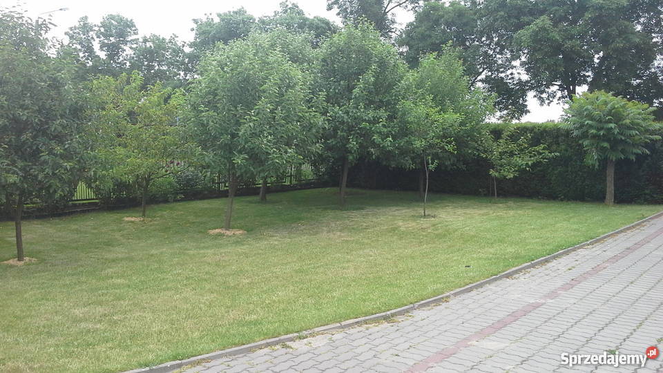 Sprzedam dom 100m2 w Koluszkach łódzkie Koluszki sprzedam