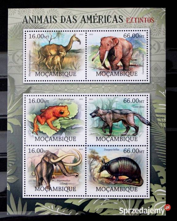 Mozambik fauna ameryki Filatelistyka wielkopolskie Oborniki
