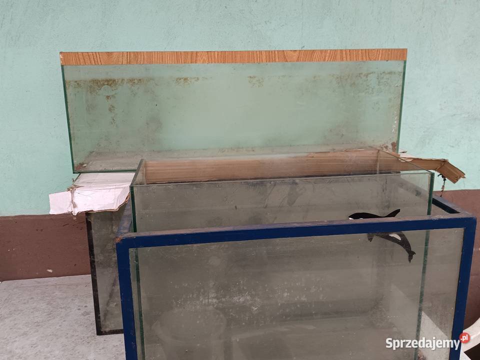 Sprzedam komplet akwarium Słowik