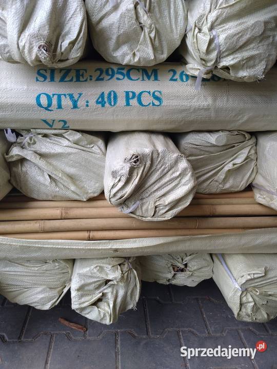 Tyczki bambusowe bambusy sadownicze 295 2628 Anielin