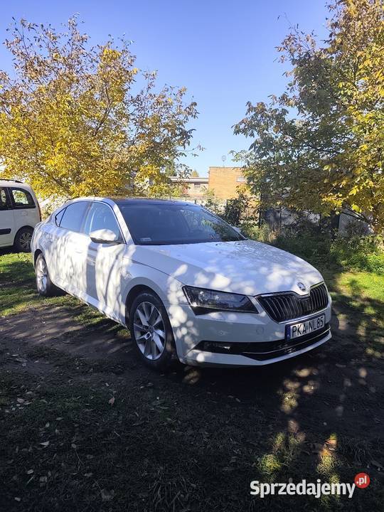 Skoda superb 16 Superb wielkopolskie