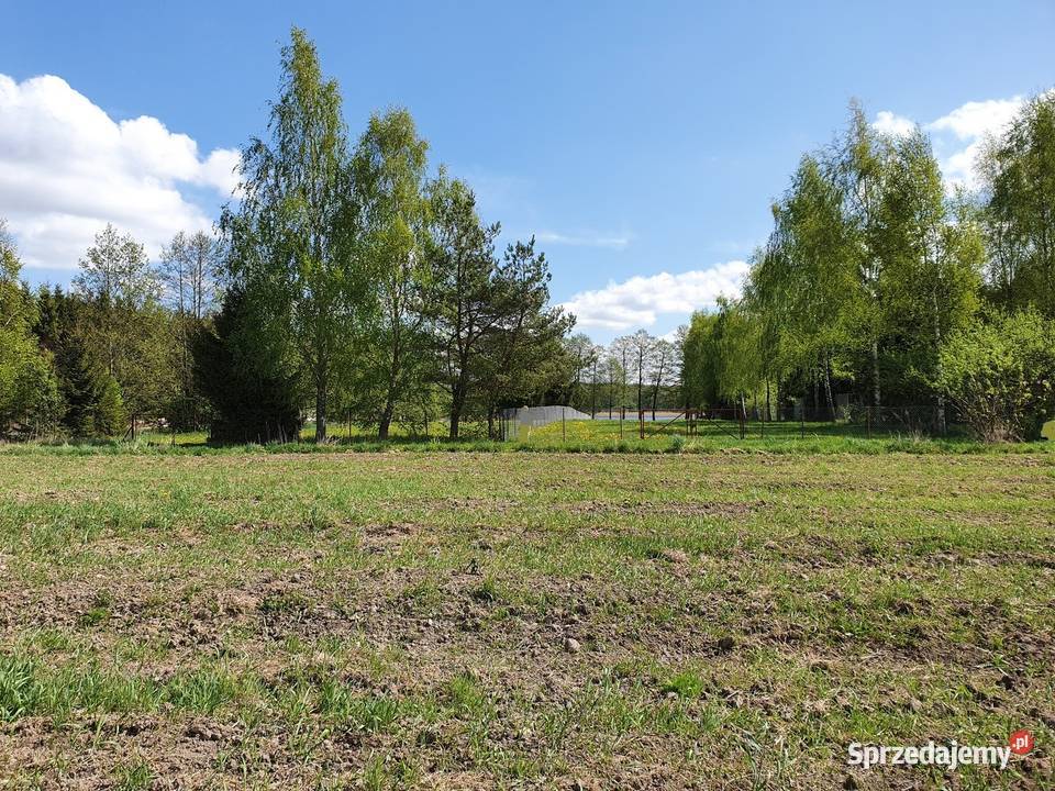 Duża działka jeziorem Harsz Sprzedaż