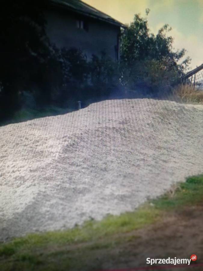 Wysłodki mokre kampania 2025 transport Zamość