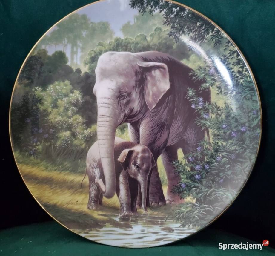 Słoń azjatycki Will Nelson Fine China Plate Pabianice