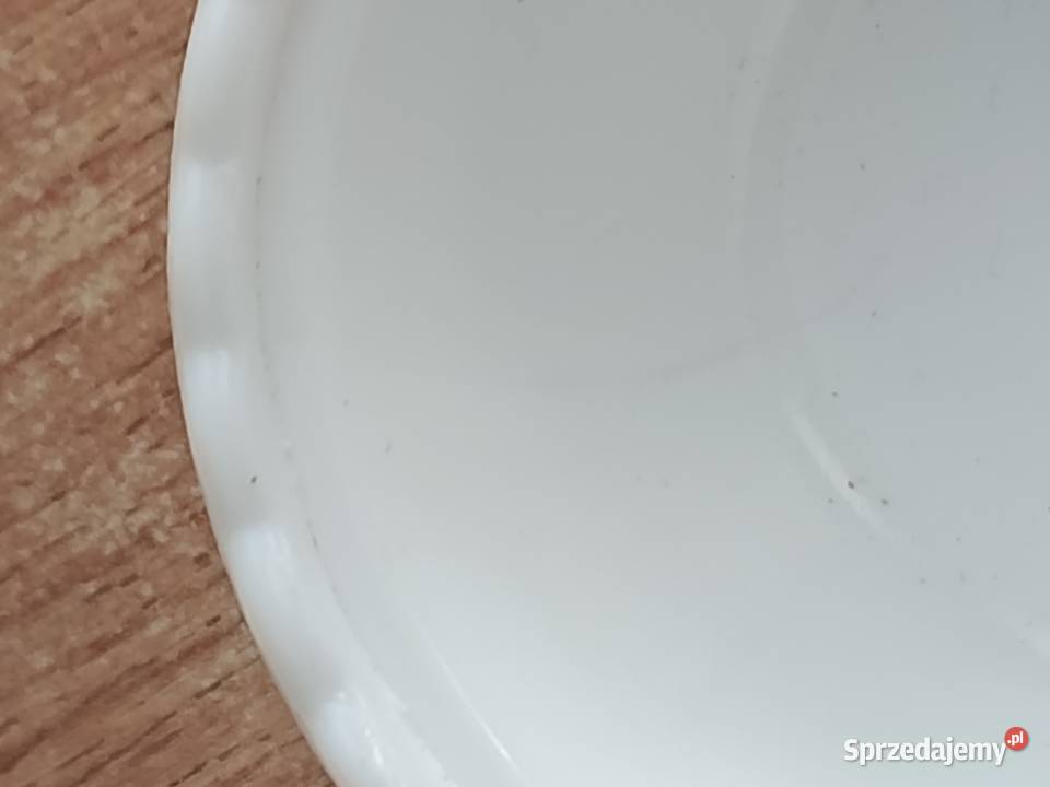 Kurka Ząbkowice 13 biała 2 zachodniopomorskie Choszczno