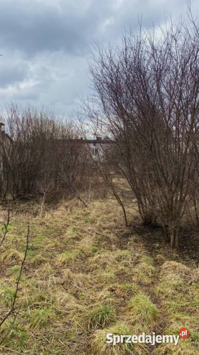 Stary dom z dużą działką Woźniki Sprzedaż