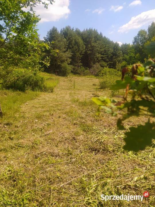 Działka budowlana z dostępem do jeziora 7100m2 Sprzedaż Janopol