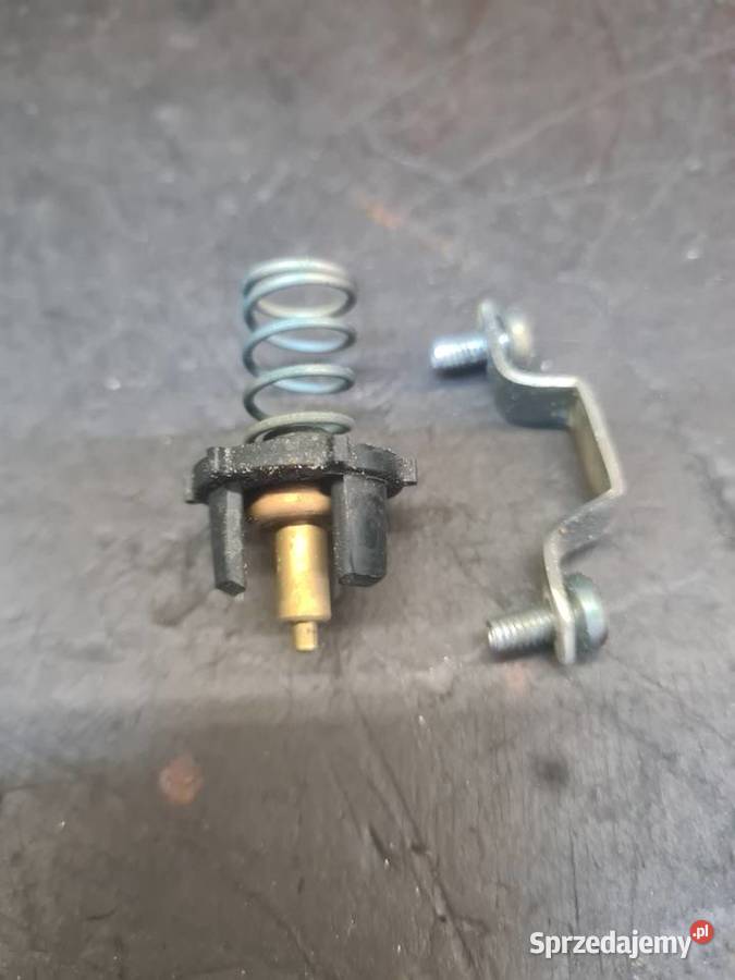 Termostat Aprilia Rs Sx 125 Rotax 122 123 Lublin