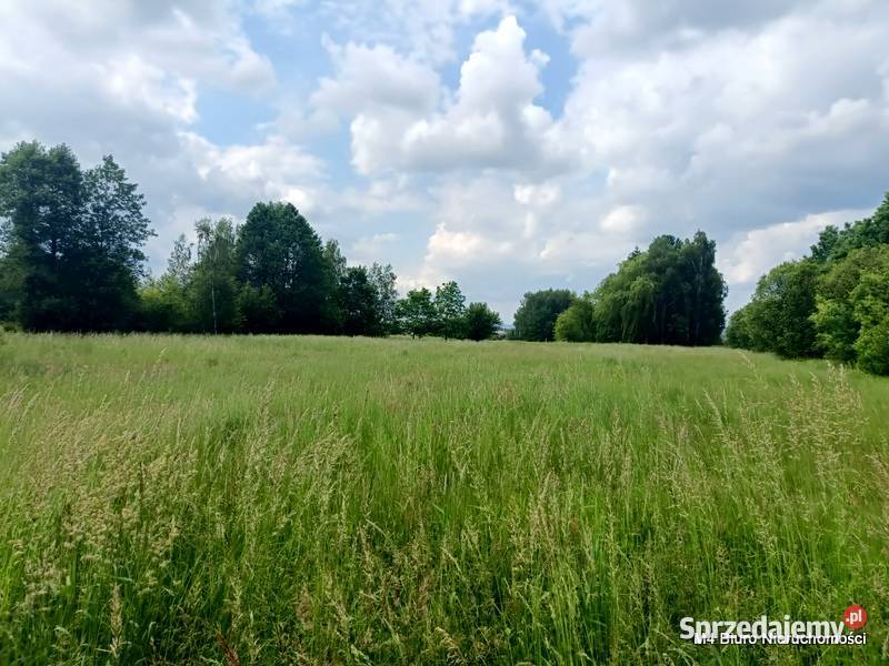ŁADNA DZIAŁKA W ŚWIERZOWEJ POLSKIEJ 24 AR 94m