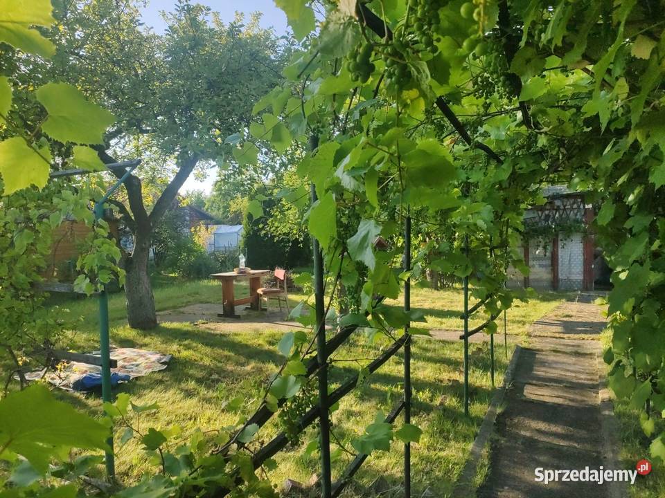 SPRZEDAM DUŻĄ DZIAŁKĘ 420m2 ROD Kolejarz